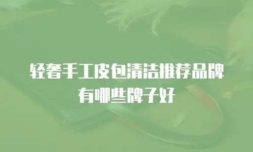 轻奢手工皮包清洁推荐品牌有哪些牌子好