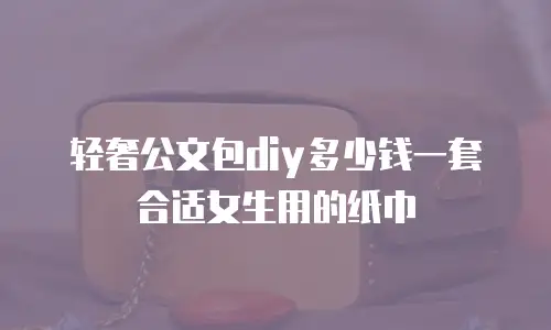 轻奢公文包diy多少钱一套合适女生用的纸巾