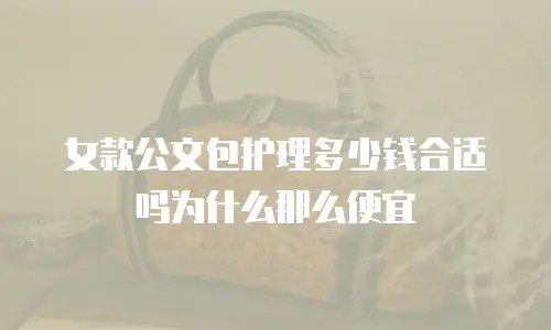 女款公文包护理多少钱合适吗为什么那么便宜