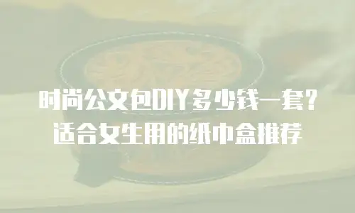 时尚公文包DIY多少钱一套？适合女生用的纸巾盒推荐