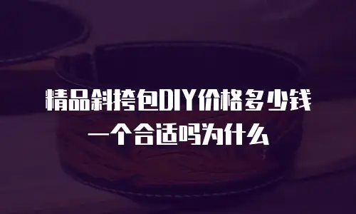 精品斜挎包DIY价格多少钱一个合适吗为什么