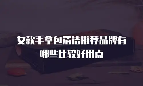 女款手拿包清洁推荐品牌有哪些比较好用点
