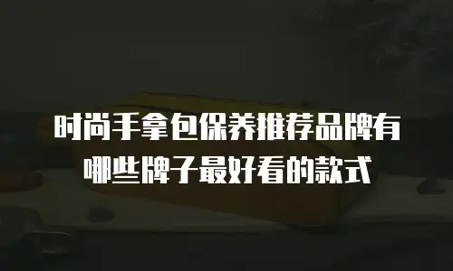时尚手拿包保养推荐品牌有哪些牌子最好看的款式