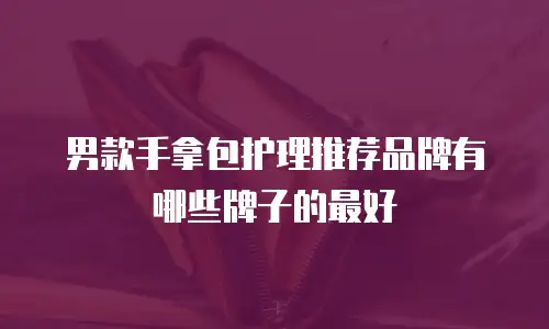 男款手拿包护理推荐品牌有哪些牌子的最好
