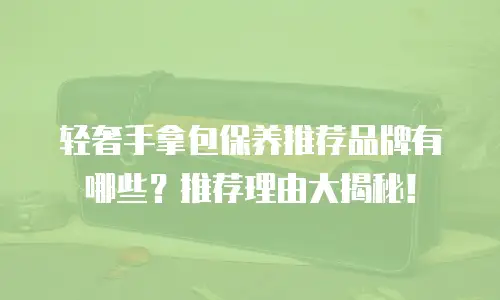 轻奢手拿包保养推荐品牌有哪些？推荐理由大揭秘！