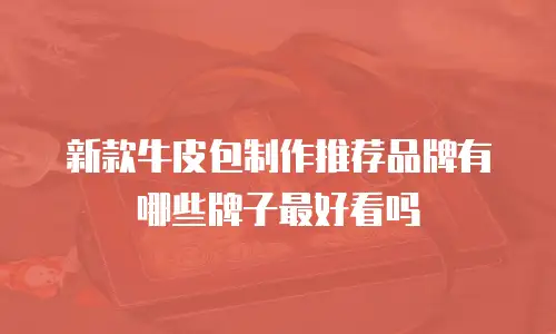 新款牛皮包制作推荐品牌有哪些牌子最好看吗