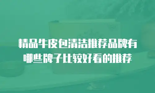 精品牛皮包清洁推荐品牌有哪些牌子比较好看的推荐