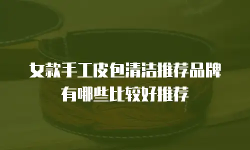 女款手工皮包清洁推荐品牌有哪些比较好推荐