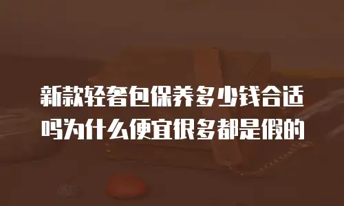 新款轻奢包保养多少钱合适吗为什么便宜很多都是假的