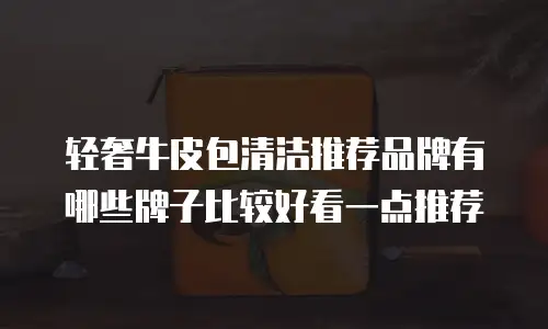 轻奢牛皮包清洁推荐品牌有哪些牌子比较好看一点推荐