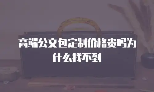 高端公文包定制价格贵吗为什么找不到