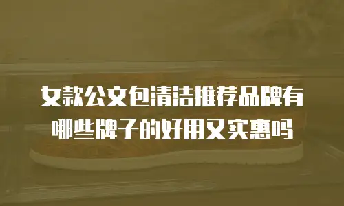 女款公文包清洁推荐品牌有哪些牌子的好用又实惠吗