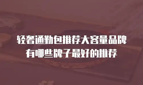 轻奢通勤包推荐大容量品牌有哪些牌子最好的推荐