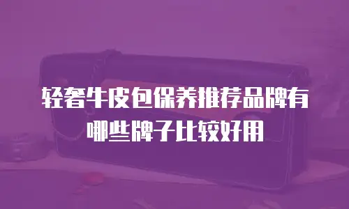 轻奢牛皮包保养推荐品牌有哪些牌子比较好用