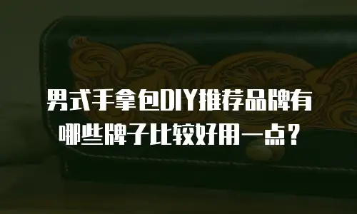 男式手拿包DIY推荐品牌有哪些牌子比较好用一点？