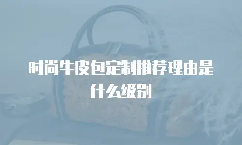 时尚牛皮包定制推荐理由是什么级别