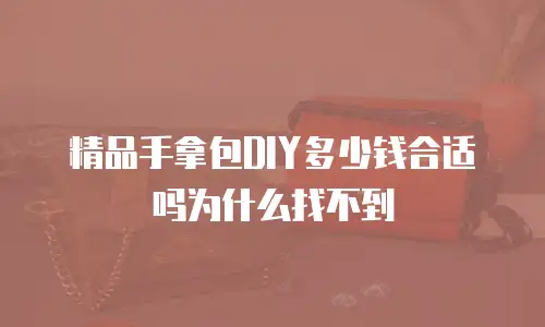 精品手拿包DIY多少钱合适吗为什么找不到