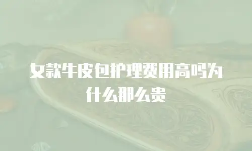 女款牛皮包护理费用高吗为什么那么贵