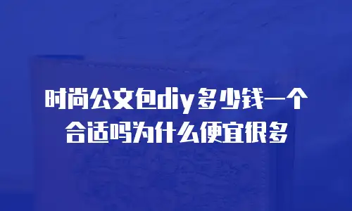时尚公文包diy多少钱一个合适吗为什么便宜很多