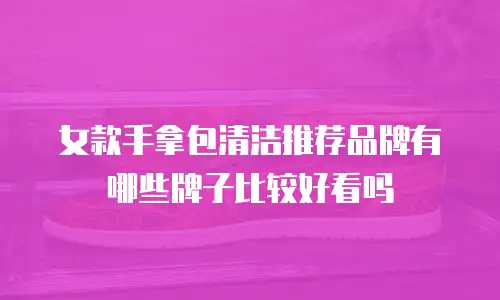 女款手拿包清洁推荐品牌有哪些牌子比较好看吗