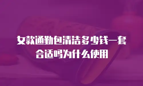 女款通勤包清洁多少钱一套合适吗为什么使用