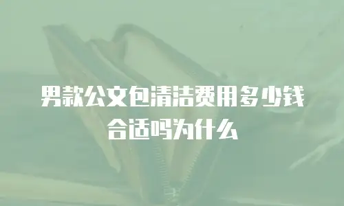 男款公文包清洁费用多少钱合适吗为什么