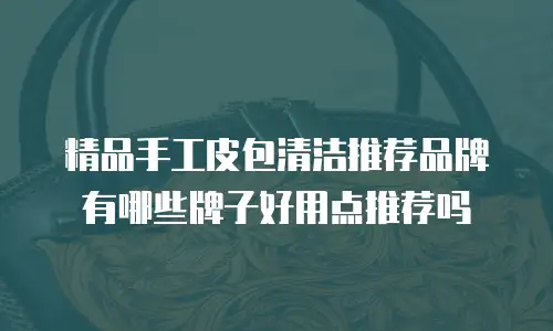 精品手工皮包清洁推荐品牌有哪些牌子好用点推荐吗