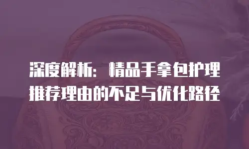 深度解析：精品手拿包护理推荐理由的不足与优化路径