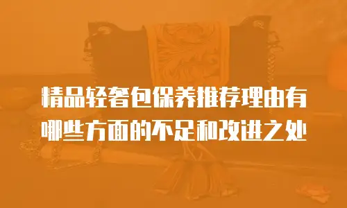 精品轻奢包保养推荐理由有哪些方面的不足和改进之处