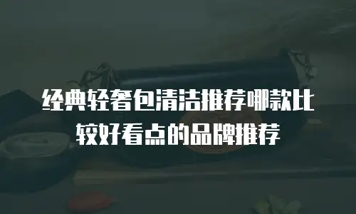 经典轻奢包清洁推荐哪款比较好看点的品牌推荐