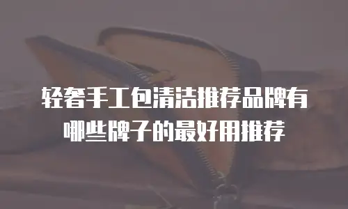 轻奢手工包清洁推荐品牌有哪些牌子的最好用推荐