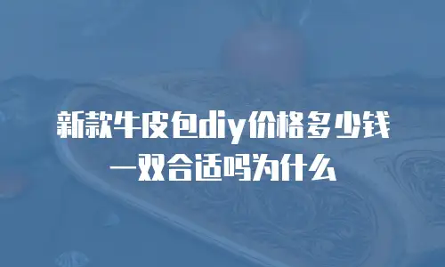 新款牛皮包diy价格多少钱一双合适吗为什么