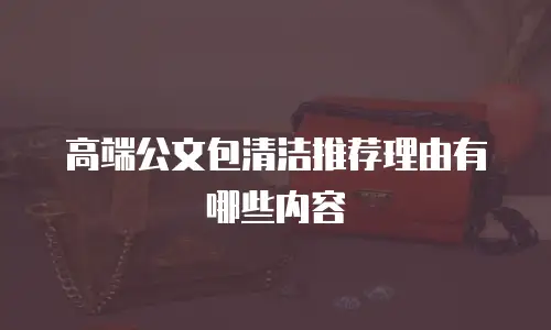 高端公文包清洁推荐理由有哪些内容
