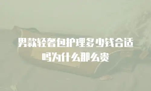 男款轻奢包护理多少钱合适吗为什么那么贵