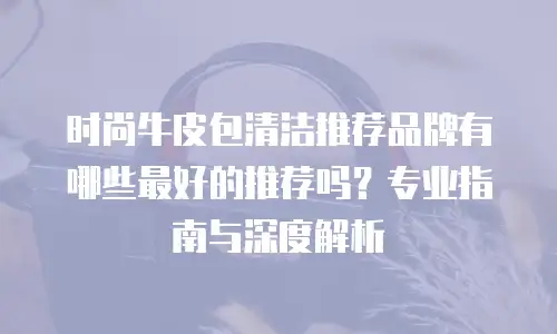时尚牛皮包清洁推荐品牌有哪些最好的推荐吗？专业指南与深度解析