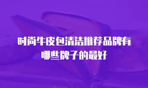 时尚牛皮包清洁推荐品牌有哪些牌子的最好