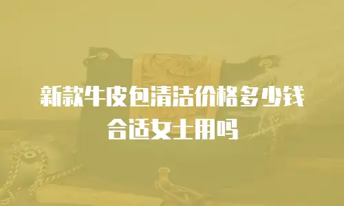 新款牛皮包清洁价格多少钱合适女士用吗