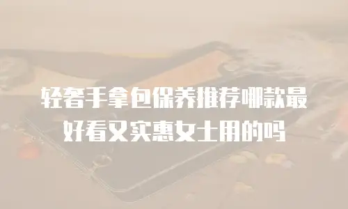 轻奢手拿包保养推荐哪款最好看又实惠女士用的吗