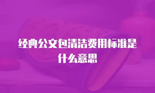 经典公文包清洁费用标准是什么意思