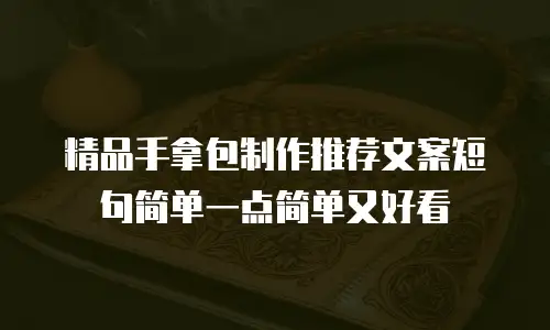 精品手拿包制作推荐文案短句简单一点简单又好看