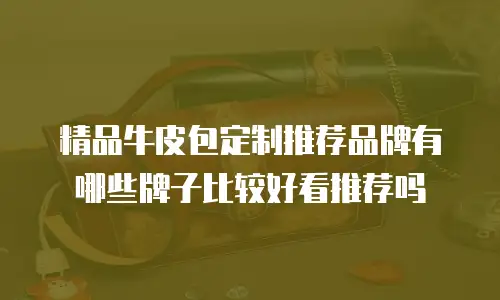 精品牛皮包定制推荐品牌有哪些牌子比较好看推荐吗