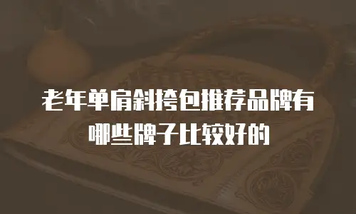 老年单肩斜挎包推荐品牌有哪些牌子比较好的