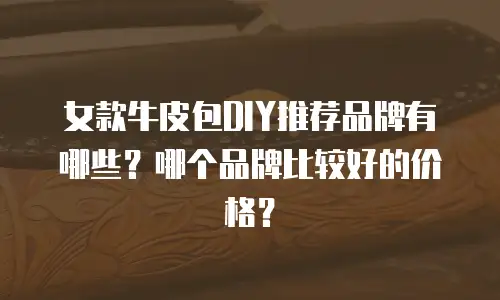 女款牛皮包DIY推荐品牌有哪些？哪个品牌比较好的价格？
