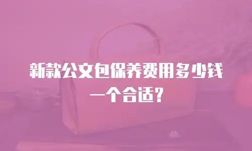 新款公文包保养费用多少钱一个合适？