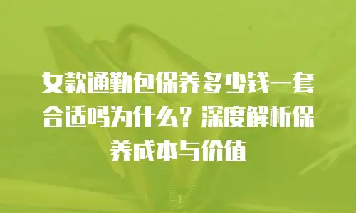 女款通勤包保养多少钱一套合适吗为什么？深度解析保养成本与价值