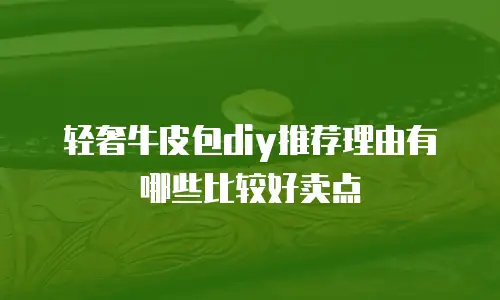 轻奢牛皮包diy推荐理由有哪些比较好卖点
