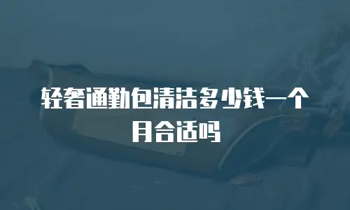 轻奢通勤包清洁多少钱一个月合适吗