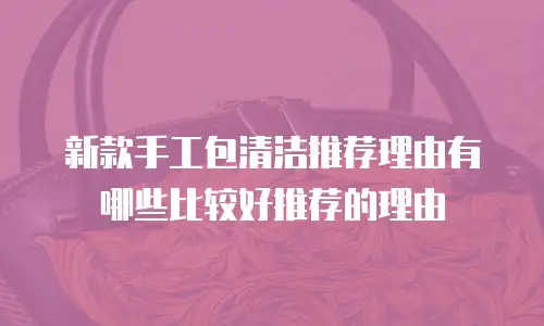 新款手工包清洁推荐理由有哪些比较好推荐的理由