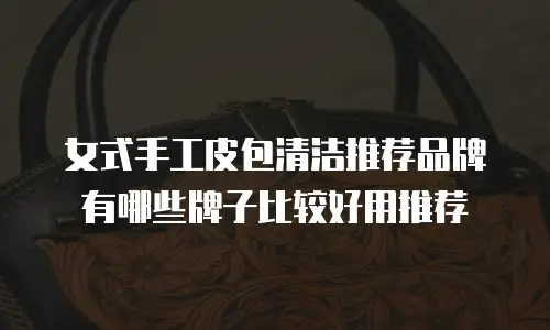女式手工皮包清洁推荐品牌有哪些牌子比较好用推荐