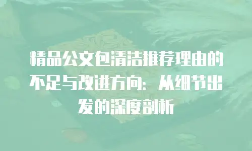 精品公文包清洁推荐理由的不足与改进方向：从细节出发的深度剖析